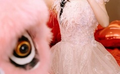 晴雅集为什么被禁